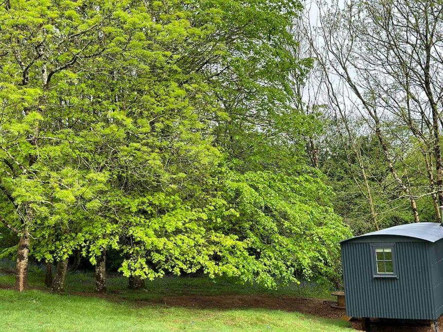 Cornwall Woodland Shepherd'S Hut Deirdres Hut Bodmin Exterior foto
