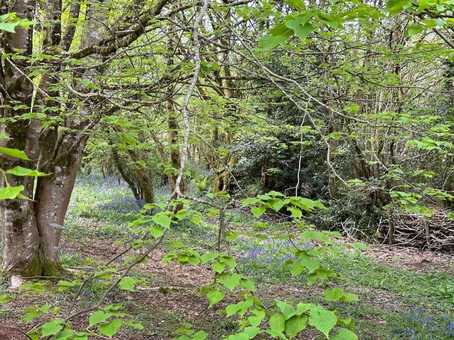 Cornwall Woodland Shepherd'S Hut Deirdres Hut Bodmin Exterior foto